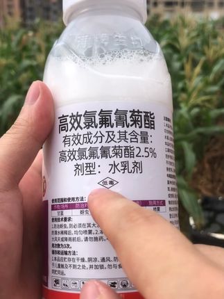 想要彻底消灭抗性害虫,你用这个高效的除虫配方,就能虫卵双杀 #杀虫剂 #新农人计划 #病虫害防治 #菊酯类农药 #驱虫