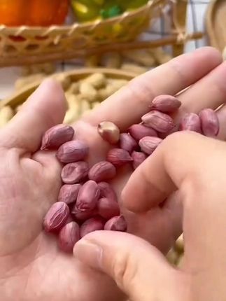 闽西龙岩湿烤红衣花生带壳咸香酥脆闽西特产营养红皮下酒菜零食 #好物推荐🔥 #好物分享🔥 #好吃到停不下来 #零食推荐