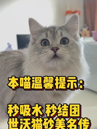 猫砂这种消耗品就得选价格便宜又实惠的! 十几块一大包~ #萌宠好物 #养猫好物 #养猫人
