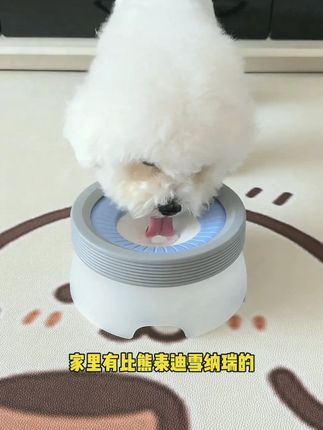 狗狗不湿嘴碗悬浮水碗防湿嘴喝水器漂浮水盆宠物饮水器防打翻8172#水碗 #水盆 #宠物饮水器 #宠物水盆 #饮水器