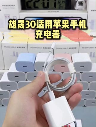 雄晟30适用苹果手机充电器 iphone14/13快速数据线 #数码科技 #数据线 #电子产品 #手机