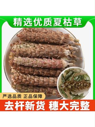 夏枯草正品野生泡茶专用泡水喝白毛夏枯草新鲜干货夏枯球陈皮#夏枯草 #夏枯草煮鸡蛋 #夏枯草凉茶 #夏枯草泡水喝