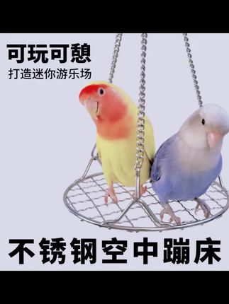 九九小鹦不锈钢鹦鹉秋千网架休息平台吊床鸟笼夏季降温防啃咬玩具 #鹦鹉秋千 #家有宠物 #鹦鹉玩具 #鹦鹉好物分享 #萌宠好物