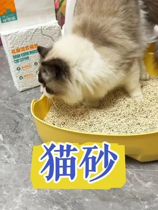 【宠物必备】宠贵诺真空大袋奶香味混合豆腐猫砂低尘除臭可冲厕所#萌宠日常记录 #猫咪 #猫砂 #铲屎官的乐趣 #记录萌宠日常