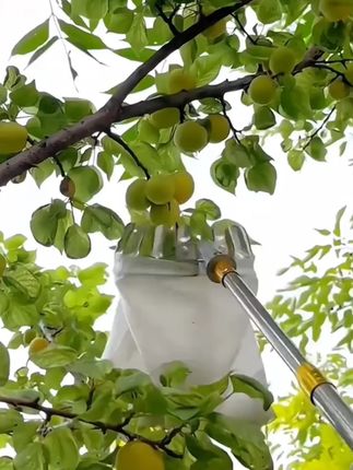 摘水果新款枇杷杨梅芒果李子桃子高空摘果器采果摘果子园艺剪 #摘水果 #摘果器 #采果器 #摘果器推荐 #摘果器分享
