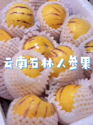 这人参果挺不错,鲜嫩多汁,还比较甜!是我吃过的比较好吃的人参果#太好吃了 #抖音美食创作者 #强烈推荐