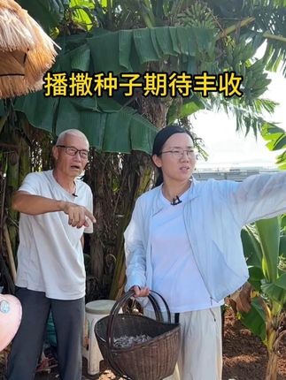 老爹效率真高,菜苗陆陆续续发芽 跟老爹菜地播撒种子#记录真实生活 #我的生活日记 #日常vlog