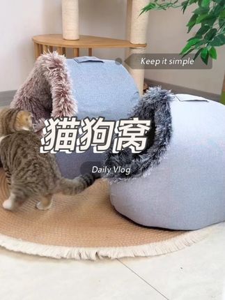 天气一降温,狗狗就喜欢钻进这种洞穴式窝窝睡觉,睡在里面安全满满#狗窝  #新手养狗  #养狗经验分享  #猫窝  #萌宠好物