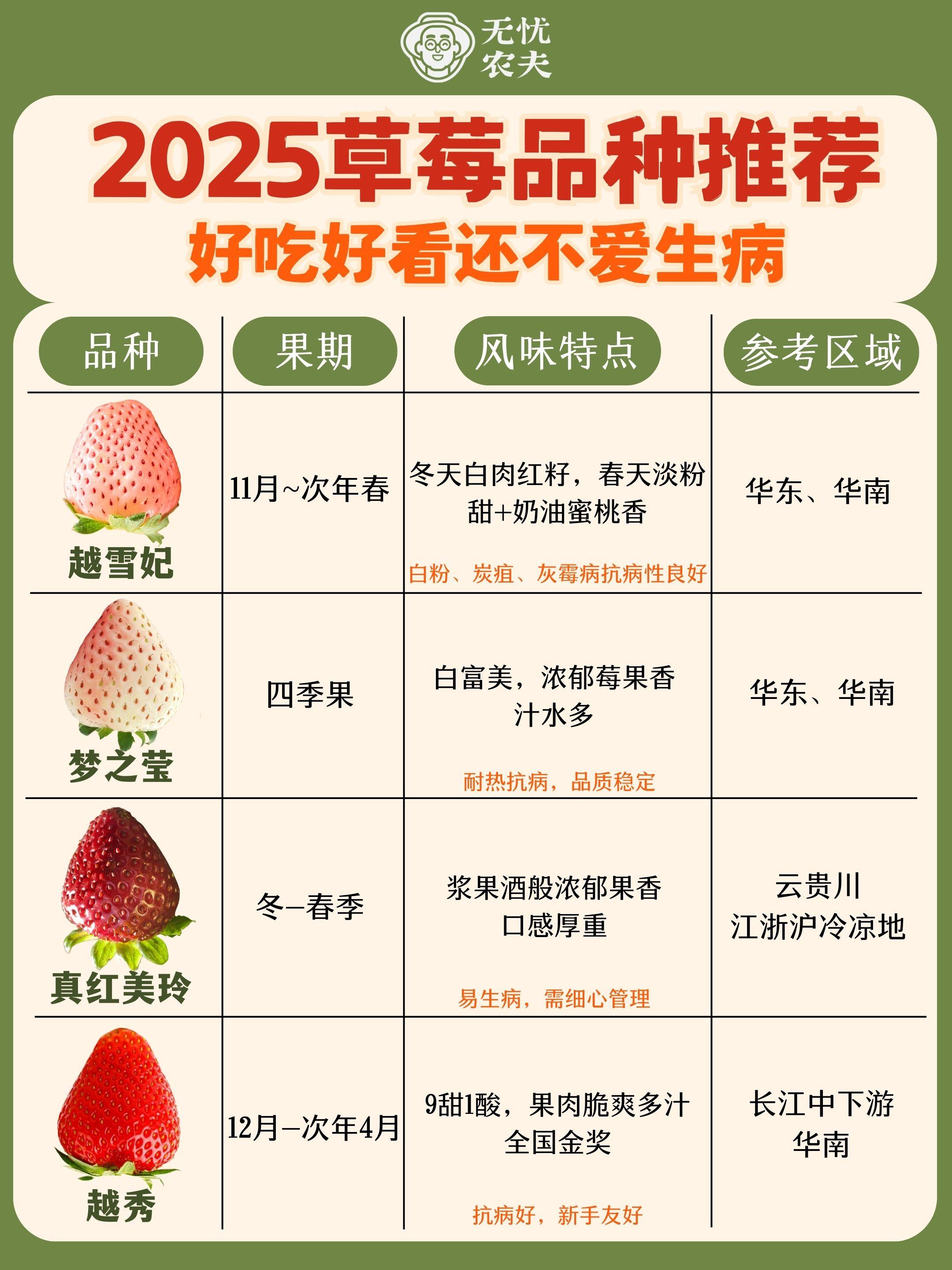 🍓草莓控必种的8个隐藏好品种❗😍。嘿,邻居们! - 这个秋天,最值得尝试的草莓品种TOP榜! 这篇为大家整理了涵盖 特点、口感、适宜区域、管理难度的草莓介绍🙋♀️ 想种啥适合种啥,一看就知道🤣 新手友好+风味极致✅ 超市里买不到的口感!只有自己种了才知道的草莓惊喜🍓💫 -#草莓品种推荐 #草莓苗 #盆栽草莓 #草莓种植 #阳台种草莓