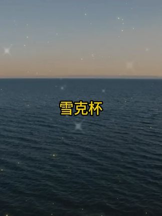 特厚手打柠檬茶雪克杯套装家用调酒雪克壶防溅商用手摇奶茶雪克杯 特厚手打柠檬茶雪克杯套装家用调酒雪克壶防溅商用手摇奶茶雪克杯