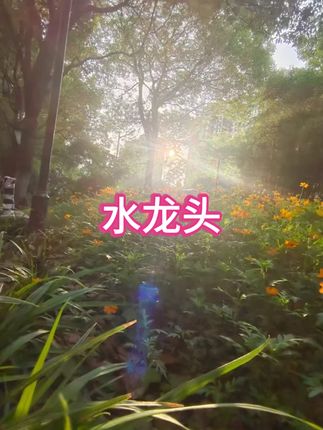 SUPOR/苏泊尔水龙头多功能过滤增压防溅延伸器厨房万向水嘴起泡器  #水龙头过滤器  #防溅水龙头  #厨房好帮手