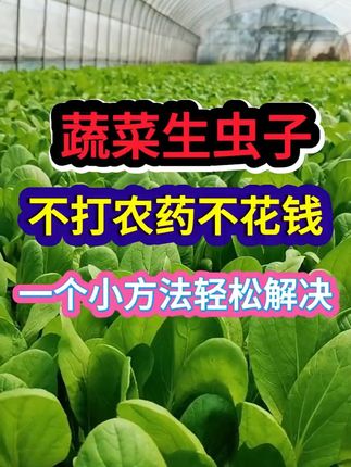 农业种植技术研究员-庄老师