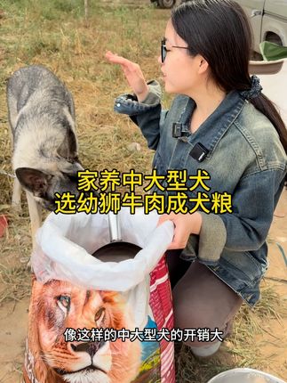 源头工厂好吃不贵的幼狮牛肉成犬粮#狗粮推荐 #源头工厂
