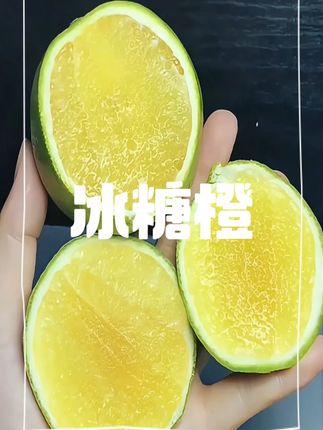 1纯甜无酸的哀牢山冰糖橙终于上市了!水分超级足,又甜又便宜!#哀牢山冰糖橙 #当季水果 #新鲜采摘 #优质农产品