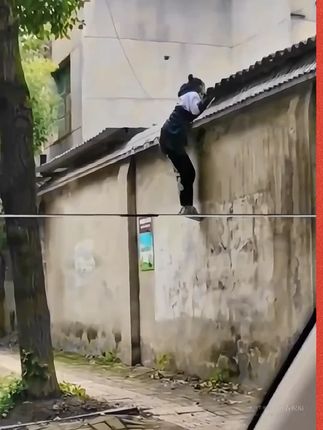 孩子的成长过程,都应该有本生命里的第一课,实例分析孩子实际问题,给出解决方案正面引导孩子 #父母课堂 #育儿