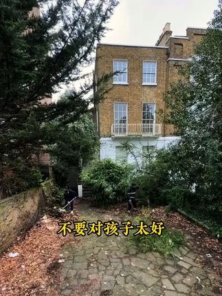 家长一定要读读这本《父母越松弛孩子越强大》,学会育儿的正确方法,孩子会越来越感恩!#育儿 #家庭教育 #家长必读 #读书H