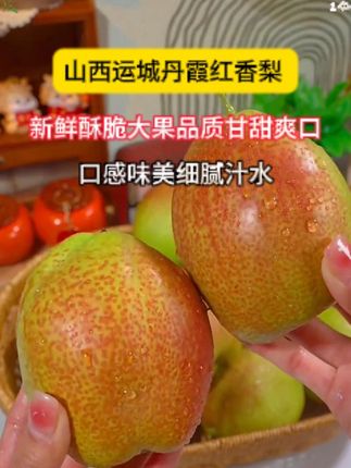 甜到心坎里的梨,终于知道为啥甜了!吃梨吃到怀疑人生?寡淡、渣多、不甜?那你真该试试不催熟不摸药+现摘现发+树上熟的丹霞红梨!口感天壤之别! #丹霞红梨  #梨  #新鲜应季水果