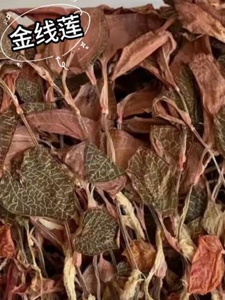 福建南靖正宗红霞金线莲干品50克 工厂直发 #家乡特产