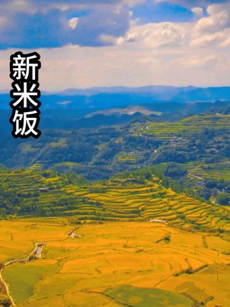 “新米饭”带给农民的喜悦无与伦比! “他”是农民丰收的喜悦、是辛勤一年的回报、更是对来年的期望与动力!#假如各省大米有段位 #抖音新农人 #抖音美好丰收节 #星农人星乡村 #丰收中国2025