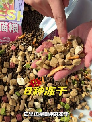 八种冻干一种粮,大大提高猫猫适口性#源头实力厂家 #新手养猫 #猫粮推荐