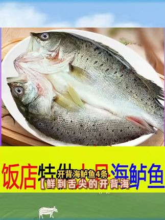 开背海鲈鱼 4条 (600g/条)七星鲈鱼新鲜冷冻鲜嫩美味生鲜鱼海鲜