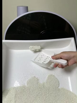 好用 秒吸水喵结团的猫砂好用 #养猫新手