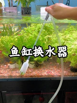 鱼缸有底沙的换水一定要试试这个换水器,不仅可以清理底沙,裸缸也能清理垃圾鱼便,主要还加了延长管,大鱼缸也能轻松换水洗沙了#空气缸 #养鱼 #养鱼日记