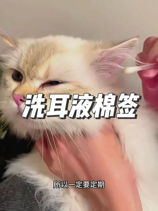 【开颜】宠物洗耳液棉签一次性抑菌除螨猫狗耳螨洁耳液温和清洁耳道#宠物用品好物推荐 #宠物罐头 #宠物清理耳道 #宠物美容 #宠物洗澡