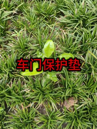 适用焕新版特斯拉model3/Y/X汽车门锁保护垫减震缓冲车门防撞贴 #车门减震垫 #汽车 #汽车减震垫片