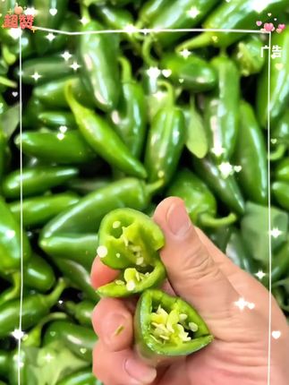 2新鲜港椒5斤/2斤装 现摘现发特辣辣椒腌制咸菜泡菜蘸酱菜#纯天然绿色蔬菜 #辣椒🌶 w