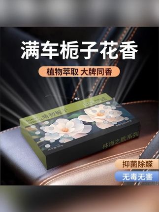 塔罗木野之息车载香砖汽车香水香薰香膏空气清新持久留香除异味#车载香砖 #香薰 #车载香薰 #香膏 #香砖
