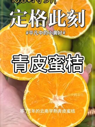 馋了一年的高山无籽青皮蜜橘终于上市了!皮很薄!果肉细腻无渣,汁水特别多!酸甜可口!一口爆汁!真的巨好吃!#云南蜜橘 #青皮蜜橘 #橘子 #新鲜应季水果 #优质农产品
