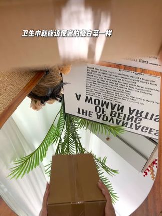 每个月都要用的消耗品,本来就该这个价#好物分享
