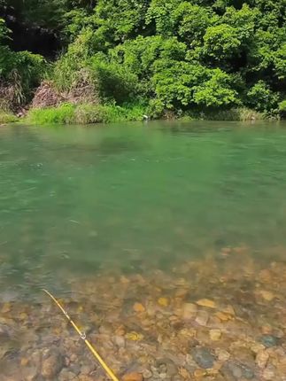 九慕屋 JMW天龙座弹射微物竿溪流马口竿路亚竿UL溪流路亚竿FUJI #微物竿推荐 #九慕屋路亚竿 #溪流马口 #路亚 #路亚马口