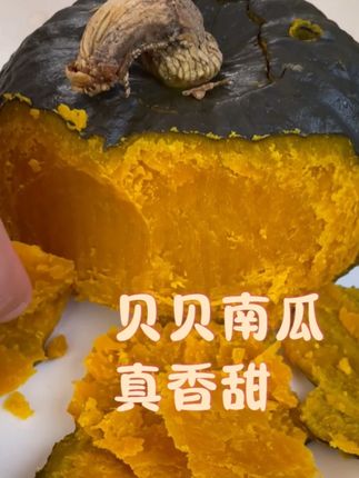 好的贝贝南瓜吃起来不光是有粉度和面度,它还有口感! #南瓜#贝贝南瓜#正宗贝贝南瓜#贝贝南瓜粉糯香甜#正宗贝贝南瓜粉糯香甜