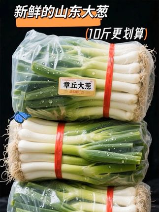 章丘大葱,被誉为“葱中珍品”,以其高大挺拔、葱白脆嫩、味甜微辣的独特品质闻名。每一根都承载着当地水土的滋养,从种植到收获,坚守传统工艺与科学管理,确保新鲜与口感。#优质农产品 #荤素搭配 #百吃不厌 #灵魂蘸料 #山东大葱