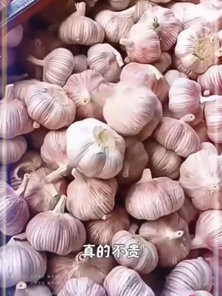 农家土蒜头,蒜香浓郁#大蒜 #紫皮大蒜 #优质农产品 #超便宜超划算