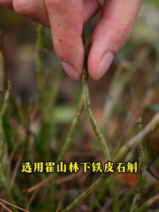 连续喝一个月的石斛汁,你知道会有什么样的结果吗 #霍山 #石斛 #石斛之乡