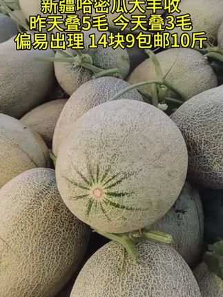 今年新上市的哈密瓜,脆甜多汁,皮薄肉厚,真的很好吃!#哈密瓜  #优质农产品  #新鲜采摘  #脆甜多汁  #应季水果