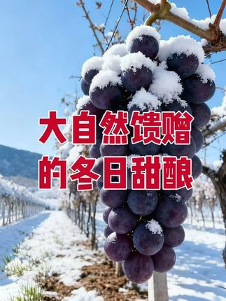 它是大自然馈赠的冬日甜酿 #威代尔葡萄酒 #辽宁恒仁 #冰酒 #中秋送礼 #好物分享
