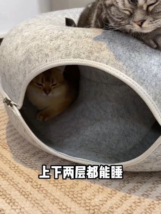终于买到了一个没有被闲置的猫窝,甜甜圈造型空间很大,几只猫抢着在里面躲猫猫