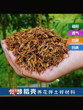 发酵腐熟稻壳月季绣球通用辅助营养土种菜透气
