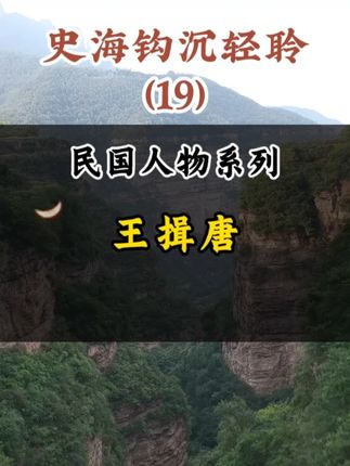 王揖唐《史海钩沉轻聆》(19) #历史 #民国人物故事 #抖音精选计划