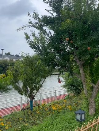 浪尖综合鱼竿买一根送一根还有掉断包配节#鱼竿#钓鱼 #钓鱼 #渔具用品 #渔具用品 #渔具