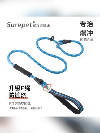 中大型犬狗链遛狗绳P链p绳加粗加长训犬防爆冲松紧拉布拉多牵引绳 #牵引绳 #狗狗牵引绳 #遛狗绳 #狗绳 #狗链