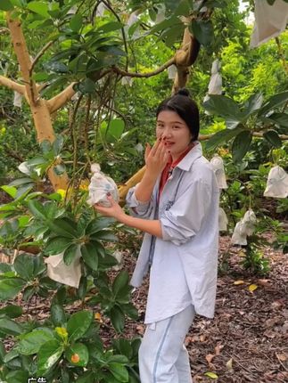 #水果 #应季水果 #水果自由
