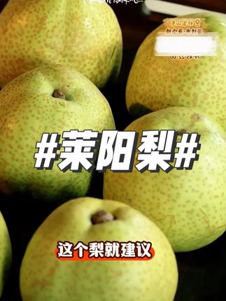 莱阳梨爽脆梨子新鲜水果 #水果 #莱阳梨 #快来一起尝个鲜 #梨 #强烈推荐