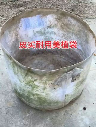 厂家直销加厚无纺布植树袋美植袋育苗袋营养钵控根器种植袋特大号