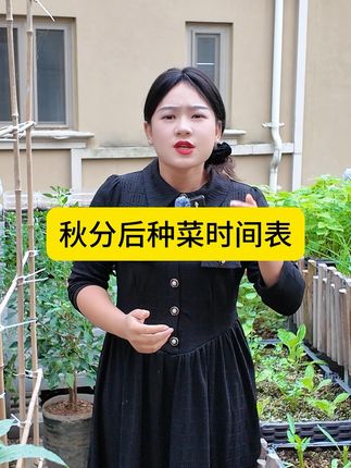 秋分后种菜时间表,学会了让你高产大丰收! #秋分 #种菜 #种菜时间表 #种植小技巧 #新农人