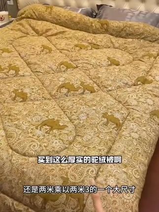 没想到反季买被子这么划算,这里居然这么便宜!驼绒被子冬被加厚保暖驼毛被单双人秋冬天棉被芯学生宿舍被